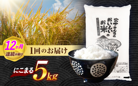令和7年産)【12回定期便】長崎県認定特別栽培米にこまる5kg  / 米 こめ コメ おこめ お米 白米 精米 にこまる kome 長崎県産 / 諫早市 / 宮下農園  [AHCG028]