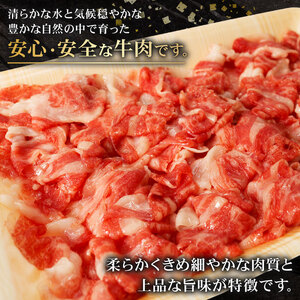 牛肉 切り落とし 320g × 2 計 640g 3回定期便 黒毛和牛 国産牛