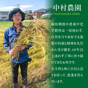 令和7年産夢つくし（玄米）5kg中村農園いのちの米_令和7年産 夢つくし 5kg 玄米 いのちの米 つややか 光沢 もちもち 食感 粘り 甘み ビタミン ミネラル 食物繊維 国産 米 新米 ブランド米 ご飯 おにぎり おむすび 弁当 主食 食品 食べ物 グルメ お取り寄せ お取り寄せグルメ 福岡県 久留米市 送料無料 〔Gr061〕