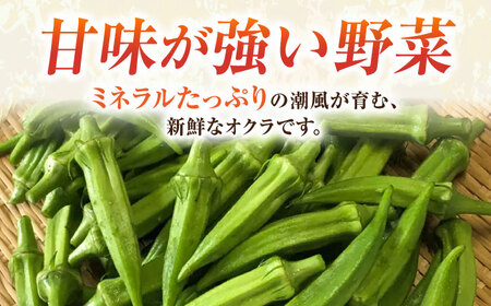 【先行予約】オクラ 約1kg【鈴也ファーム】[AKCE023] オクラ 