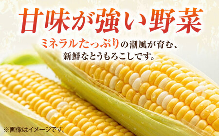 【先行予約】【数量限定100セット】とうもろこし　ドルチェドリーム　下処理済み　8本程度　約4kg（7月~8月）【鈴也ファーム】[AKCE026]
