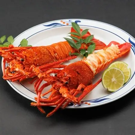 伊勢海老塩蒸し　500g_魚介・海産物 伊勢海老 エビ いせえび 伊勢エビ_【配送不可地域：離島】【1553459】