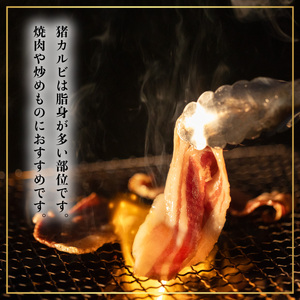 猪肉 カルビ スライス 約500g ジビエ 肉 猪 いのしし イノシシ 薄切り BBQ バーベキュー 焼肉 阿波ジビエ 阿波地美栄