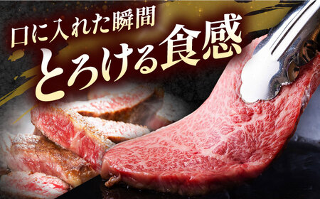 【全12回定期便】国産和牛特上サーロイン ステーキ 180g×4枚[AOAI031] サーロイン