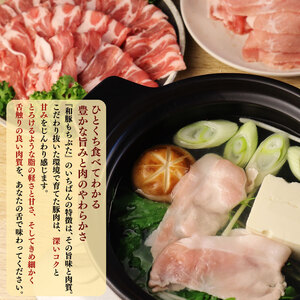 和豚もちぶた しゃぶしゃぶ 食べ比べ しゃぶしゃぶ しゃぶしゃぶ しゃぶしゃぶ katayama001