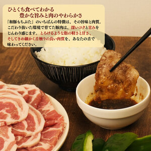 和豚もちぶた 焼肉 1.5kg 食べ比べ 豚肉 豚肉 豚肉 豚肉 豚肉 katayama002