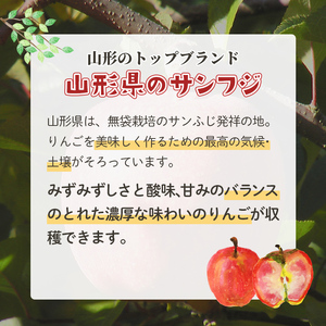 《先行予約》【訳あり】【家庭用】山形県産サンふじりんご 約10kg 《2026年12月上旬頃より順次発送予定》 バラ入り りんご リンゴ 林檎 デザート フルーツ 果物 くだもの 果実 食品 山形県産 中山町 F4A-0462