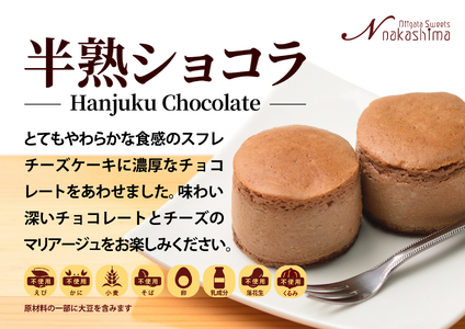スフレチーズケーキ 『半熟ショコラ』 9個入り 1箱 優しい味わい ギフトにもおすすめ 新潟県 糸魚川市 ナカシマ 人気のスフレケーキにチョコレートの美味しさをプラス やわらかな口どけ のし対応可 チーズケーキ スイーツ 洋菓子 お歳暮 お中元 贈答