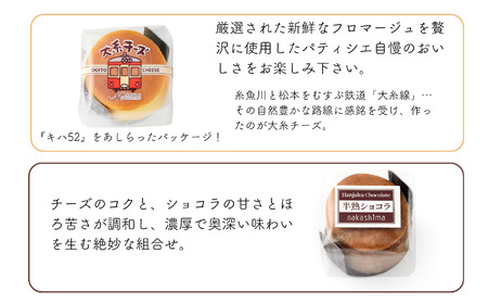 スフレチーズケーキ 『チーズとショコラのスフレセット』 9個入り 1箱 (大糸チーズ×6個、半熟ショコラ×3個) 優しい味わい ギフトにもおすすめ 新潟県 糸魚川市 ナカシマ 人気のスフレケーキにチョコレートの美味しさをプラス やわらかな口どけ のし対応可 チーズケーキ スイーツ 洋菓子 お歳暮 お中元 贈答