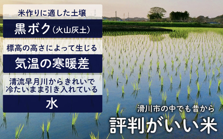 滑川産コシヒカリ（精米10kg） [C-007002]