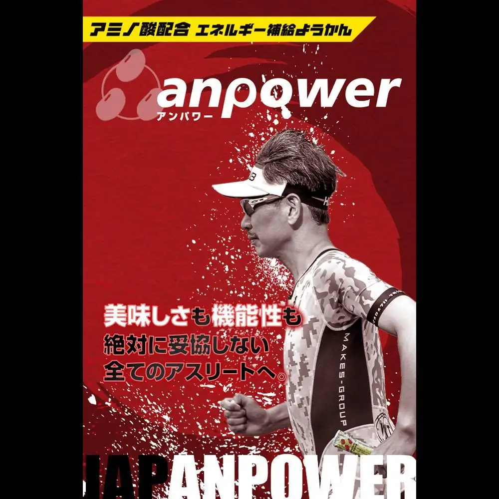＜定期便・年4回＞ 【鼓月】エネルギー補給羊羹 anpower 4箱（5本入×4）｜京都 千寿せんべい 有名店 人気 和菓子 和菓子