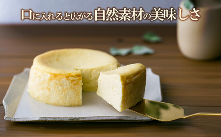 ホワイト生チーズケーキ 450g×1個 ご自宅用簡易包装 チーズケーキ