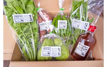 【栽培期間中、農薬・化学肥料不使用】桐島畑の季節野菜(5種類)＋ジンジャーシロップ1本 Fkh-11 ／ やさい 国産野菜 四万十 高知 季節 フレッシュ 旬 無農薬 有機農業 生姜 粗糖 温活 ジンジャーエール ホットジンジャー
