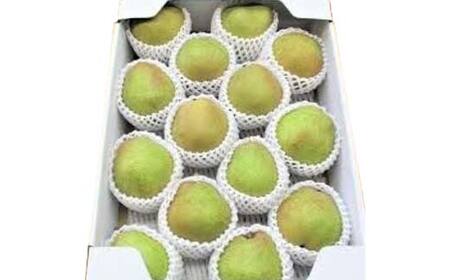 《2026年産 先行予約》山形県産 ラ・フランス 5kg 10～18玉 特秀品 FSY-2135