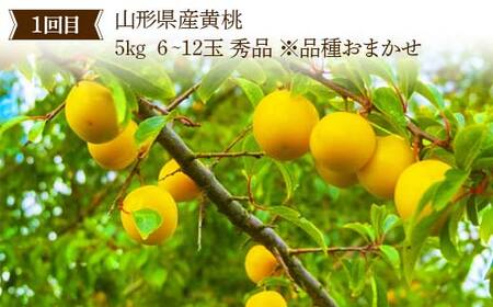 《2026年産先行受付》山形県 至高のフルーツ！ 山形県産 フルーツ定期便 全3回 FSY-2522