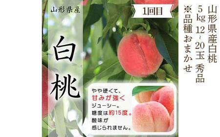 《2026年産先行受付》山形県 至高のフルーツ！ 山形県産 特選品フルーツ定期便 全3回 FSY-2523