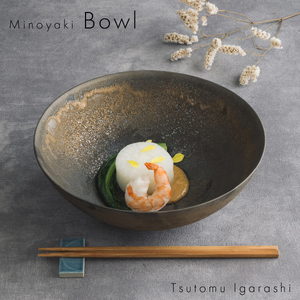 【美濃焼】 五十嵐務 大鉢 ブロンズ釉 瑞浪市 / JS企画 陶芸作品 鉢 取鉢 インテリア 食器 ボウル [AZAZ218]