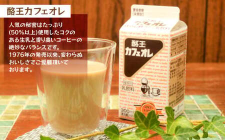 酪王バラエティセット 200ml×10本セット ｜ 福島県 大玉村 生乳 牛乳 こども キッズ ミルク カフェオレ カフェ コーヒー いちごオレ 飲みきり ご当地 福島県 大玉村 | pl-va-200ml-10s