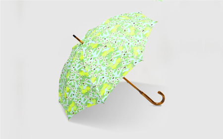 EMILY BURNINGHAM 晴雨兼用長傘47cm クインスウィズビー