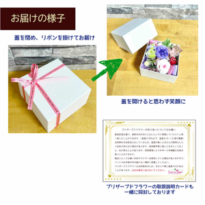 ボックスフラワー レッド