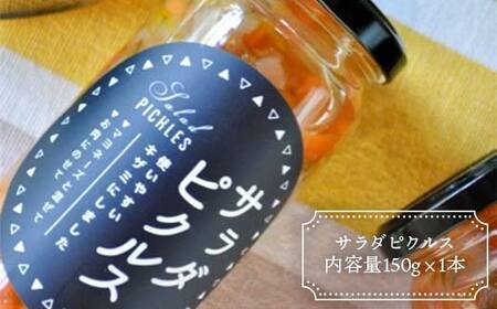 アウトドアにもおすすめ調味料セット ピクルス ドレッシング 野菜だれ ハーブソルト F4H-0418