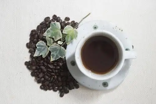 〈定期便・3ヶ月〉【PINROASTER】木屋町ブレンド（挽き）（200ｇ×2）