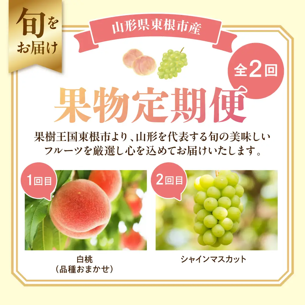 【2026年産 全2回定期便】 桃 シャインマスカット 果物定期便