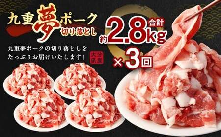 【3ヶ月定期便】 九重 夢ポーク (お米豚) 切り落とし 約2.8kg (約350g×8パック) × 3回 合計約8.4kg 定期便 豚肉 大分県産 国産【2025年2月発送開始】