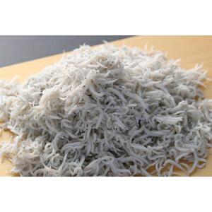 しずまえ釜揚げしらす　2kg（200g×10パック）◇