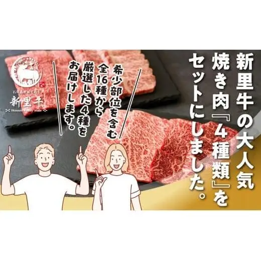 石垣島産 黒毛和牛 新里牛 ご褒美焼き肉4種食べ比べ 特上カルビ・上カルビ・特上赤身・上赤身 合計800g SZ-72