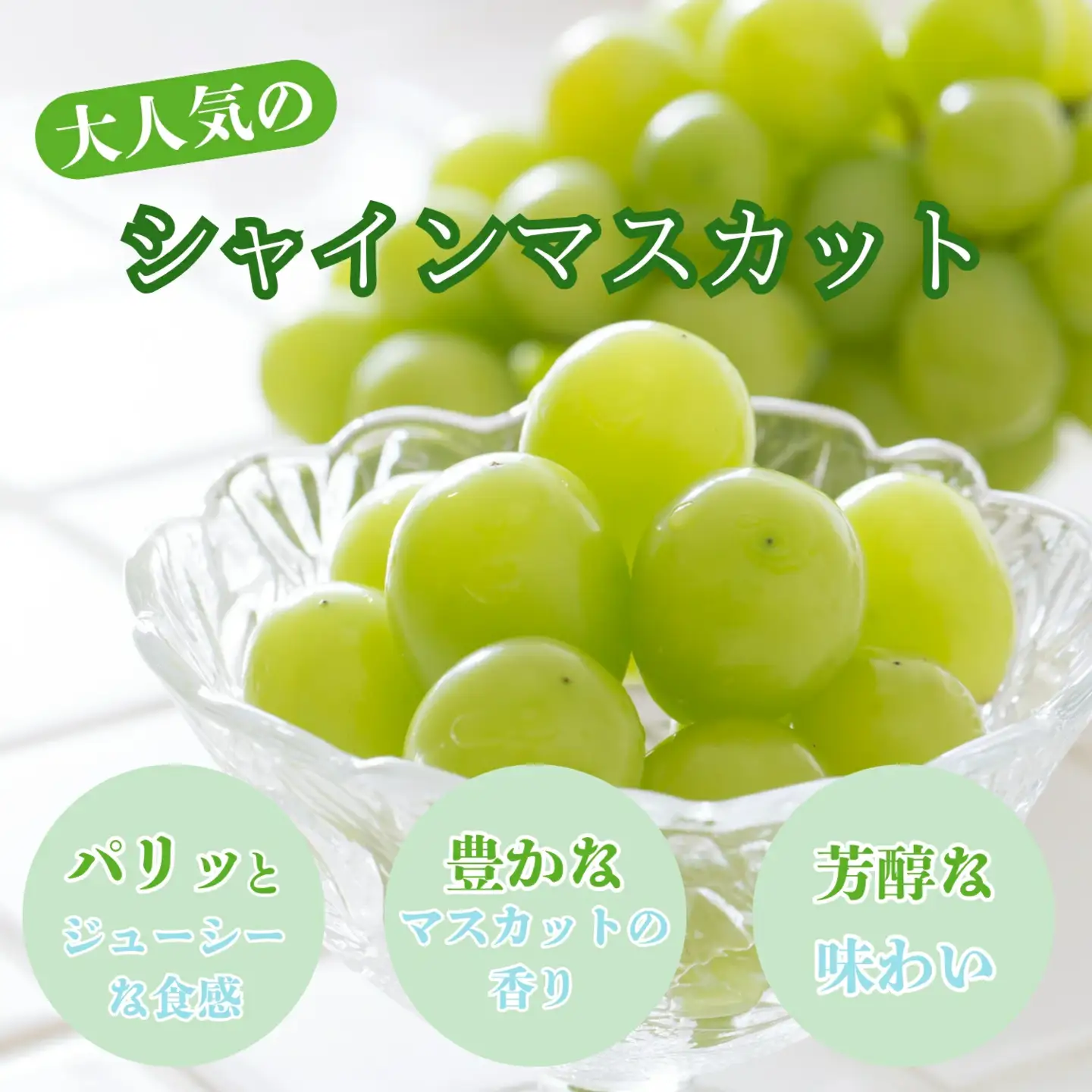 【2026年発送★先行予約】葡萄の一大産地！笛吹市産シャインマスカット1.5kg 167-107-26y
