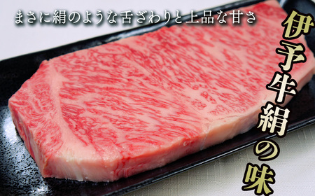 伊予牛絹の味 サーロインステーキ 1枚 220g  (冷凍)　｜ 黒毛和牛 A4～A5
