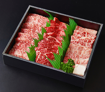 【定期便】 ２か月に１回 特撰 近江牛 定期便 焼肉 3種 食べ比べ セット 全6回 【FO49W】【 近江牛 】 牛肉