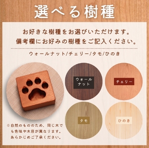 肉球ペン立て 四角〈工房 アトリエやどり 和歌山県 紀美野町〉/  木工品 ペン立て かわいい 木材 キューブ ひのき 桧 天然 木工 手作り プレゼント ギフト 【atr003】