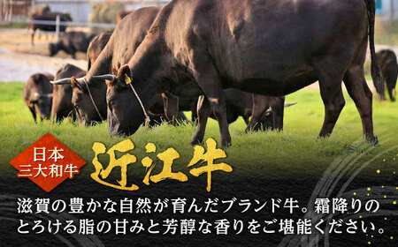 【父の日】近江牛 ヒレステーキ 200g×4枚 計800g 焼肉すだく 国産牛 / 牛肉 黒毛和牛 ヘレ フィレ 高級 / 栗東市 / 株式会社総合近江牛商社[BIBX006]