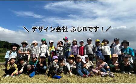 有田町の子どもたちが作ったお米で地域を活性化したい！キッズスタートアップ 有田の棚田米 おいしい米 3kg【大吉村】有田町 米 おいしい 3キロ 3kg 棚田 地域 活性化 地域おこし 保育園 保育園児 K24-1