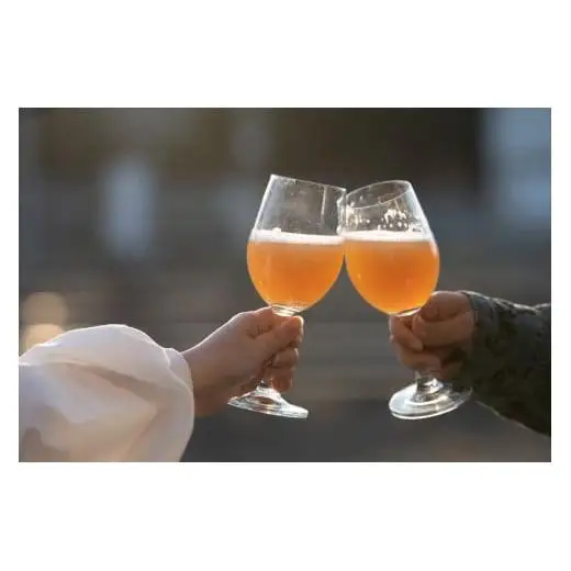 塩尻産ナイアガラ100%使用 ナイアガラホップ 2本入り | ビール クラフトビール 贈答 ギフト 長野県 塩尻市