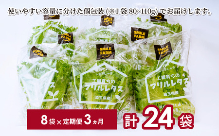 フリルレタス 8袋(80～110g/袋)×3ヶ月 計24袋 定期便 | レタス