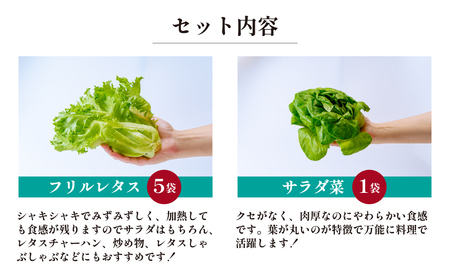 4種のレタス 8袋(80～130g/袋) | レタス