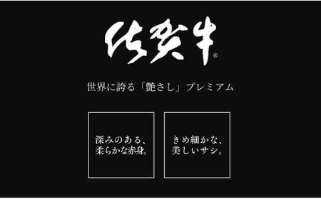 佐賀牛サーロインステーキ500g（250g×2枚）【やわらかでジューシー！】牛肉 黒毛和牛 極上の佐賀牛 厳選 500グラム お肉 おにく ギフト プレゼント 贈り物 N35-13