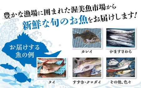 渥美魚市場の旬の鮮魚　おまかせ2種セット 下処理済み 魚セット 愛知県 田原市  鮮魚セット　鮮魚BOX