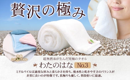 超無撚糸 タオル わたのはな No.3 ブルー 約34×120cm 八分咲き 太糸 ミドルパイル むねんし 雑貨 日用品 パイル 日本製 綿100％ 柔らか 軽い ボリューム 吸水 風合い ハーフバスタオル プレゼント ギフト 贈り物 浅野撚糸 送料無料 岐阜県 安八町