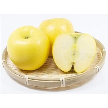 【家庭用】 長野県産 りんご シナノゴールド 約5kg(10～18玉程度)【1574749】