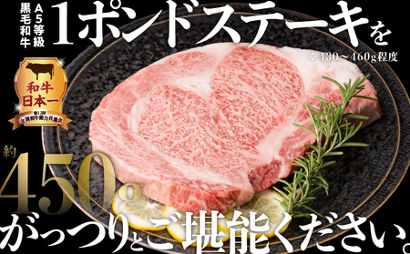 A5等級 鹿児島県産黒毛和牛リブロース 1ポンドステーキ 2枚セット K002-041_02 肉 牛肉 冷凍