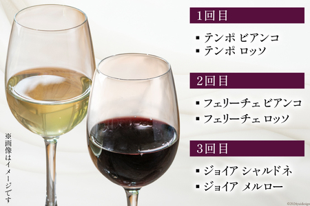 定期便 白 赤 ワイン 飲み比べ セット 各回 750ml × 2本 全3回 計 6本 [Poggio Verde（ポッジョ ヴェルデ） 長野県 池田町 48110709]