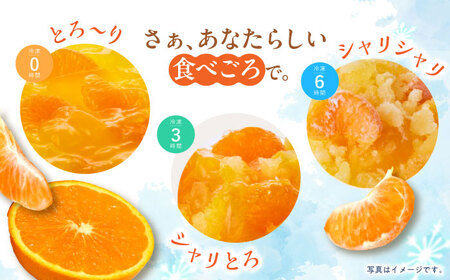 　【贈答用】 たらみ とろける味わい 詰め合わせ 12個セット( みかん 白桃 ぶどう ミックス ) / ゼリー ぜりー フルーツゼリー 果実ゼリー 果物 フルーツ くだもの ミカン ブドウ 桃 食べ比べ / 諫早市 / 株式会社たらみ [AHBR033] 