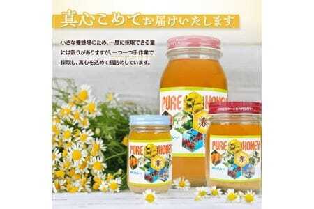 山形県遊佐町産 純粋はちみつ 1000g 百花蜂蜜 生はちみつ 国産 天然 ナチュラル ピュア ハニー 日本製 健康 非常食 升川ハチミツ 遊佐町 庄内 東北 [1558]