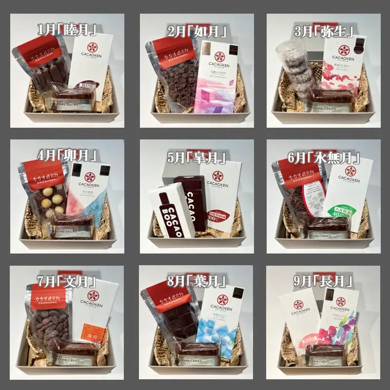 カカオ研究所 チョコレート菓子詰合せセット【12カ月定期便】【J17-001】