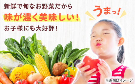 高槻野菜おまかせ詰め合わせセット 9月（10種〜15種）[AOCS015]野菜セット