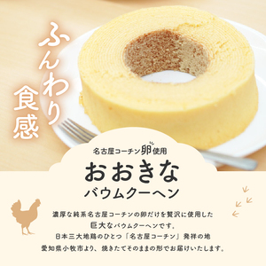 名古屋コーチン卵のおおきなバウムクーヘン[020N08]